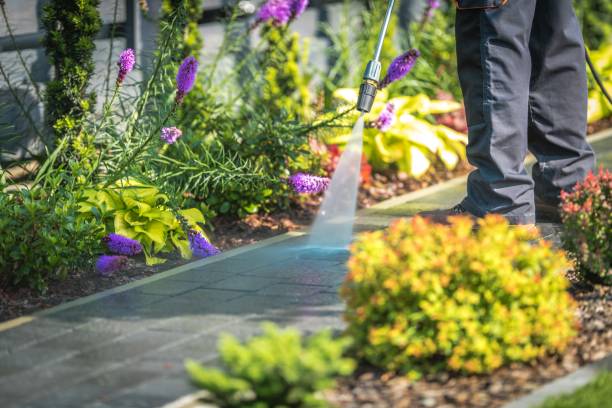 Best Animal Enclosure Cleaning  in Greenbrier, AR